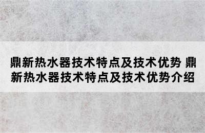 鼎新热水器技术特点及技术优势 鼎新热水器技术特点及技术优势介绍